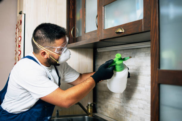 Best Commercial Pest Control Services  in Arroyo Grande, CA