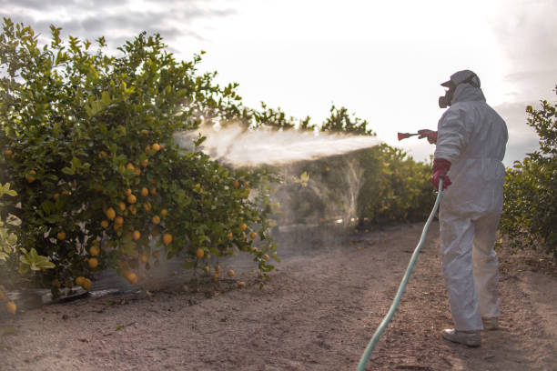 Best Pest Inspection Near Me  in Arroyo Grande, CA