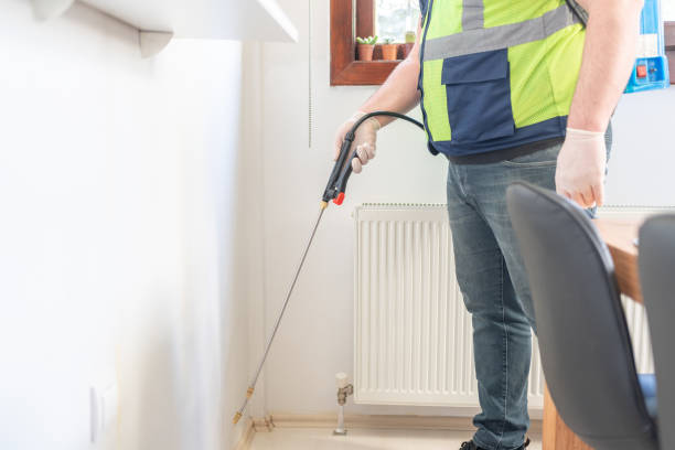 Best Affordable Pest Control Services  in Arroyo Grande, CA