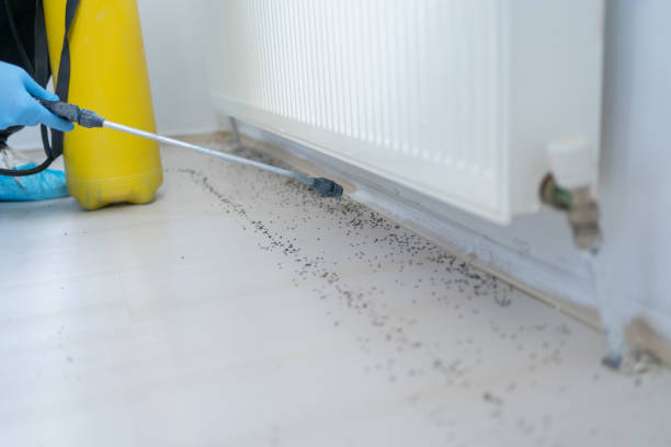 Best Mosquito Control Services  in Arroyo Grande, CA