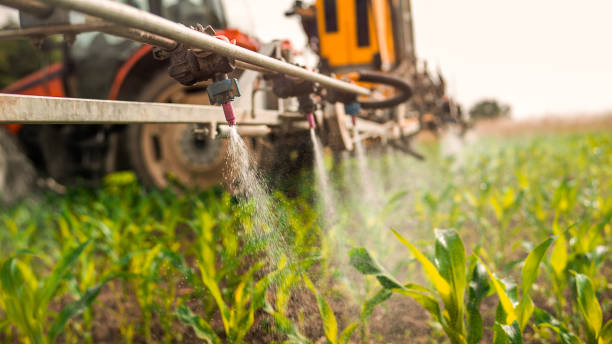 Best Pest Prevention Services  in Arroyo Grande, CA